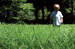 Green support - Kid in grass