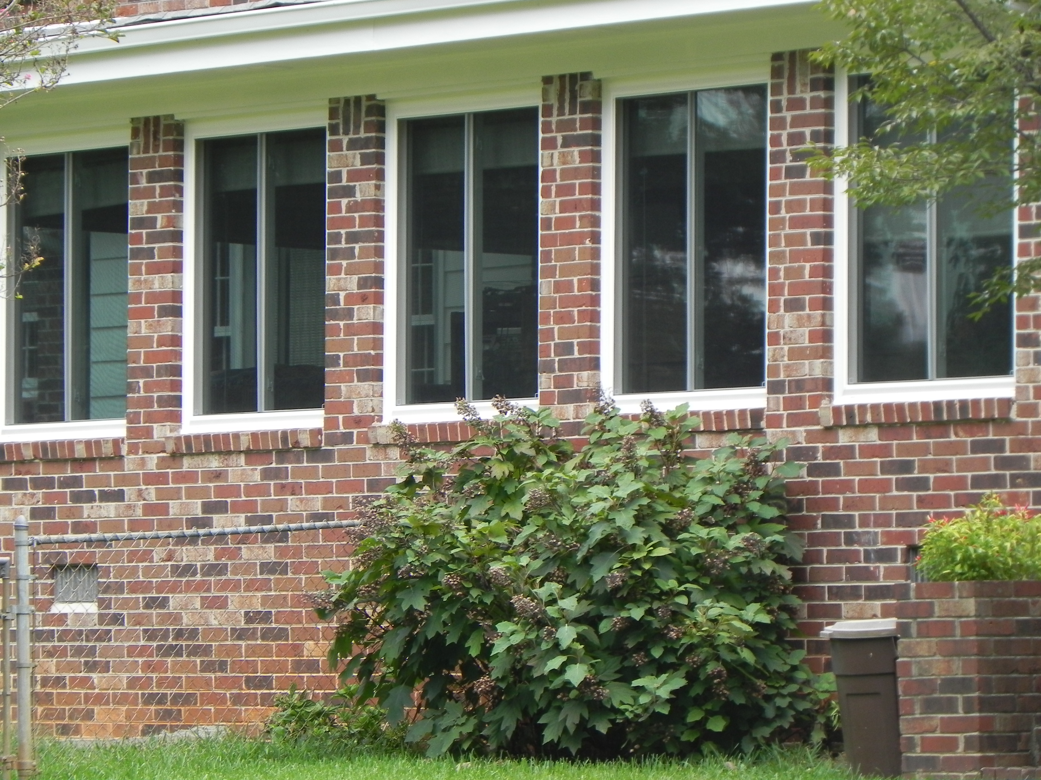 Window1/mitchen.jpg