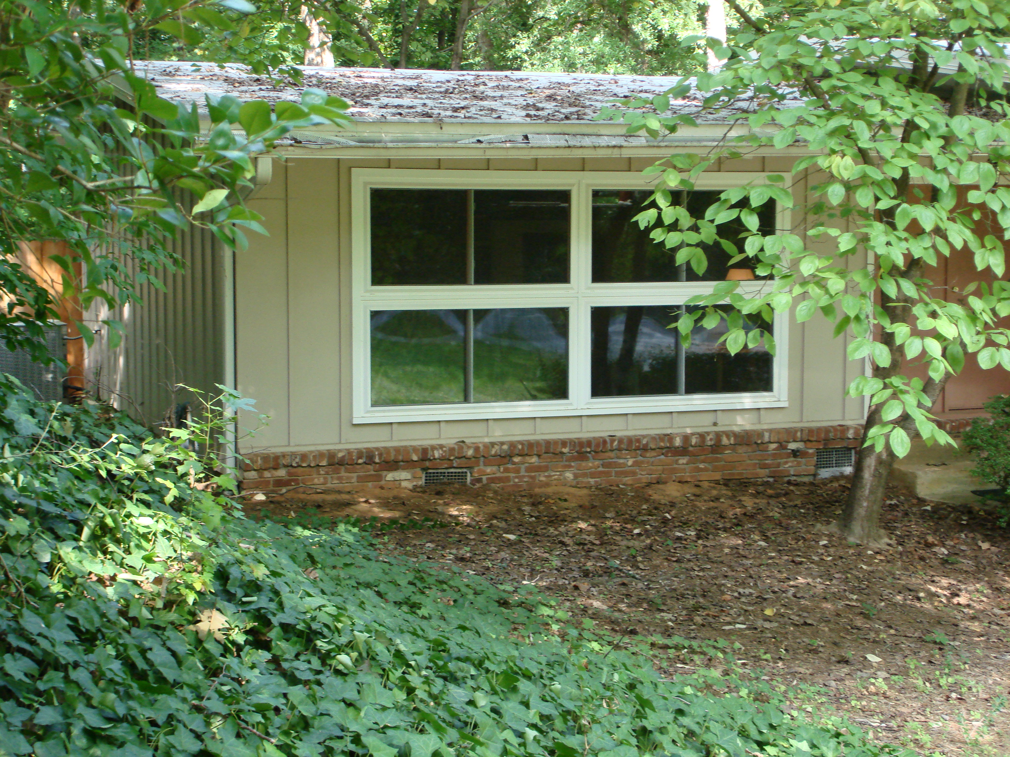 Window1/patrickleonard7.JPG
